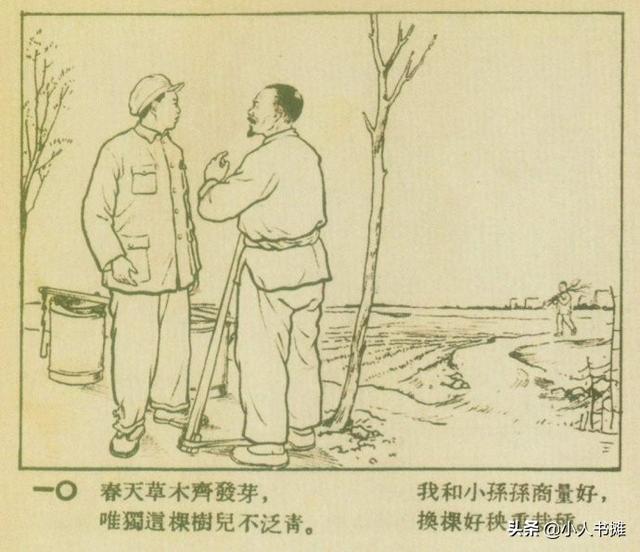 换树-选自《连环画报》1954年5月第九期